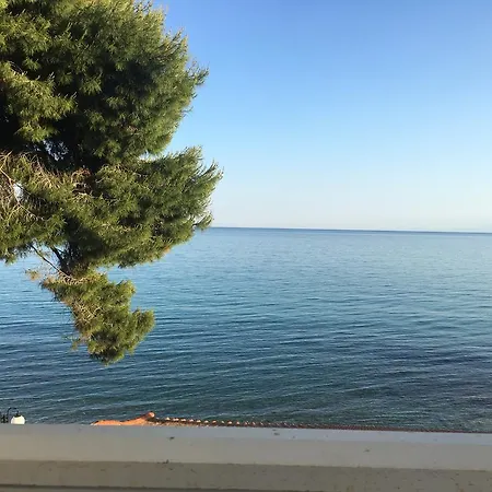 Apartamento Maria Mola *